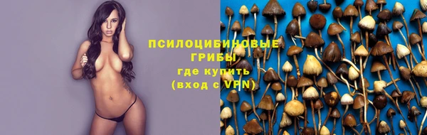 дурь Алзамай