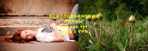 ALPHA PVP Алексин