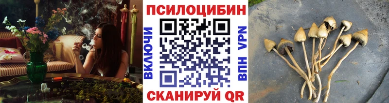 Галлюциногенные грибы MAGIC MUSHROOMS закладки Богучар